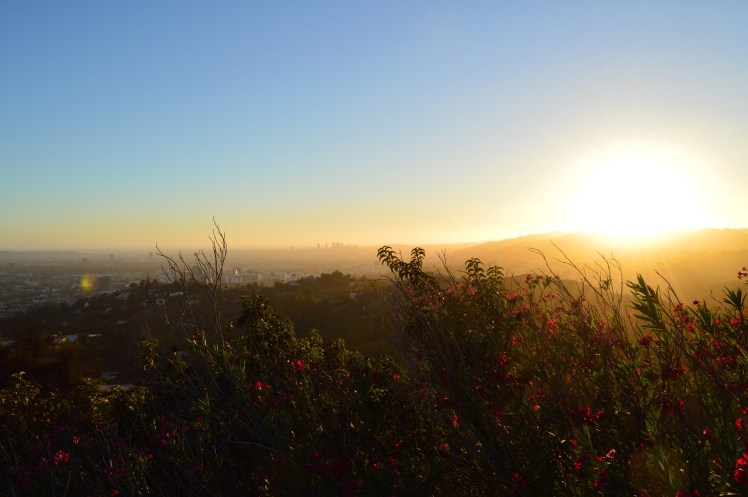 Griffith Observatory Los Angeles