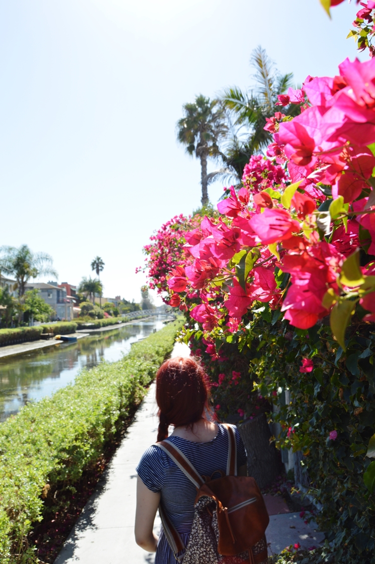 Venice Canal District