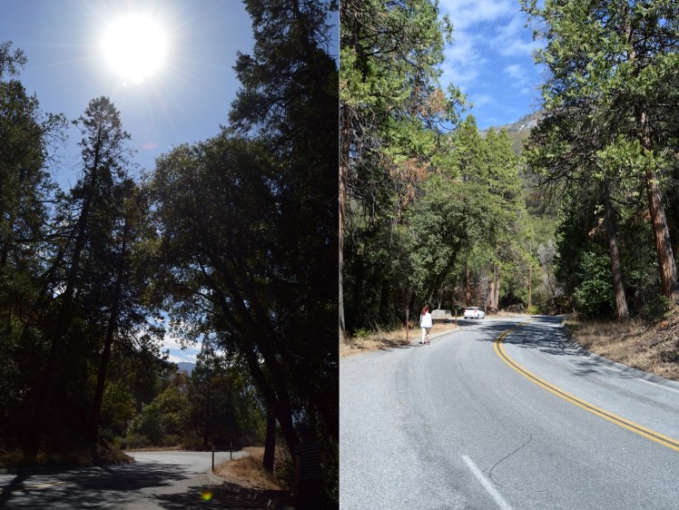 Sequoia National Park
