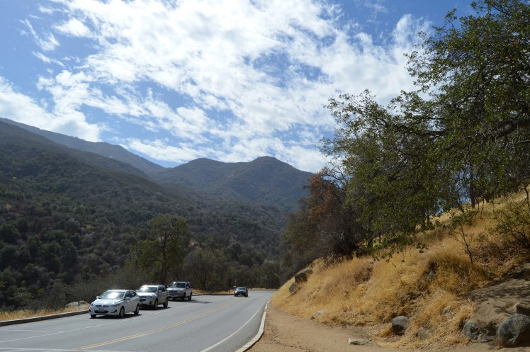 Sequoia National Park