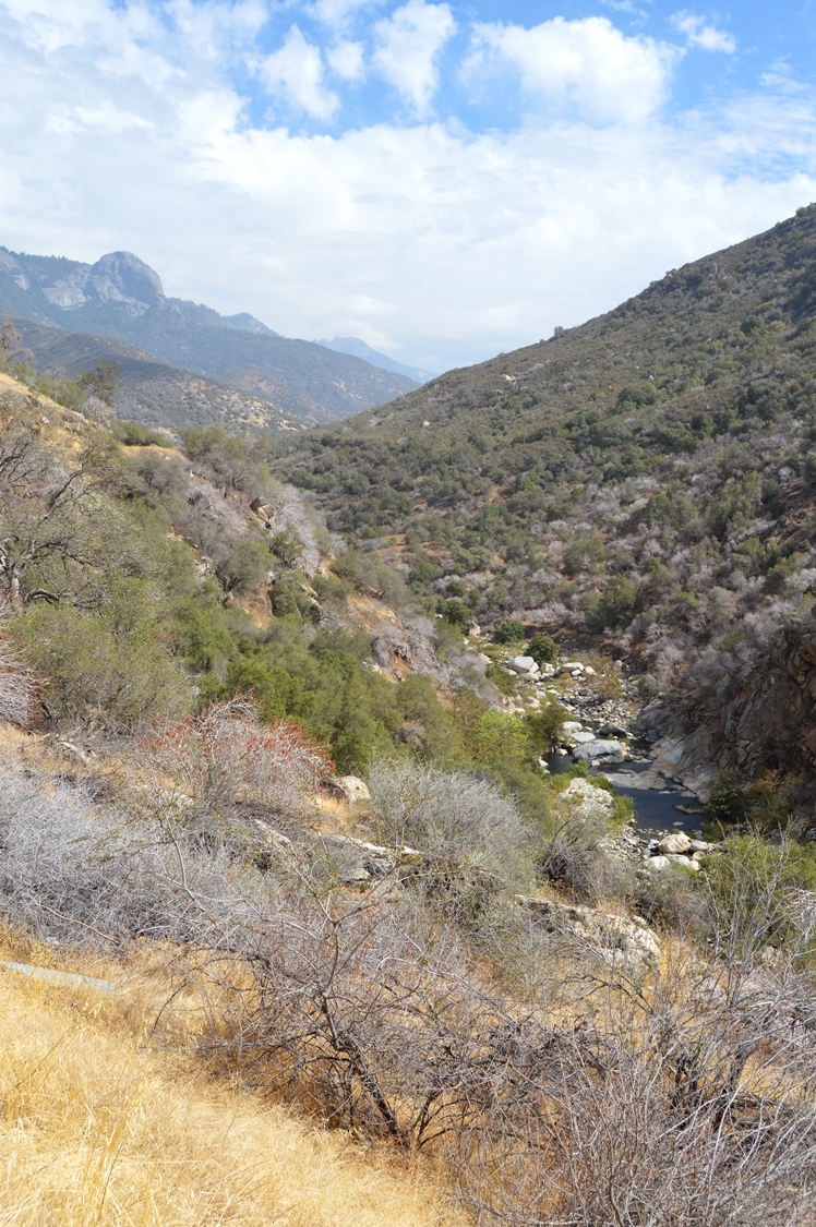Sequoia National Park