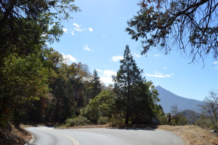 Sequoia National Park