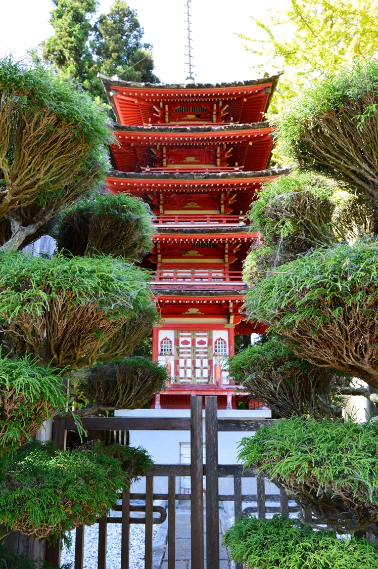 San Francisco Japanese Tea Garden - Midgins' Blog