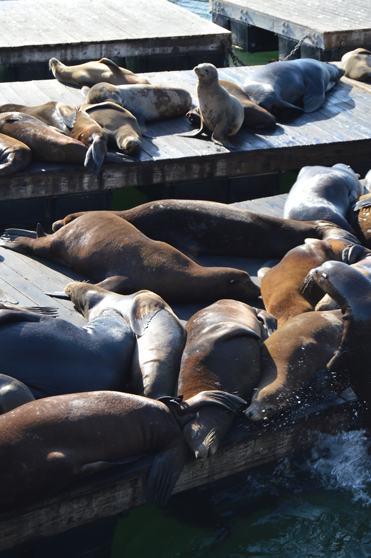 San Francisco - Midgins' Blog