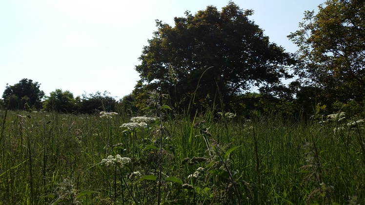 Outfit: Hello June | Midgins' Blog