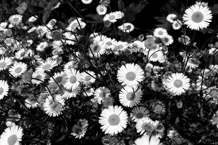 Outfit: Hello June | Midgins' Blog