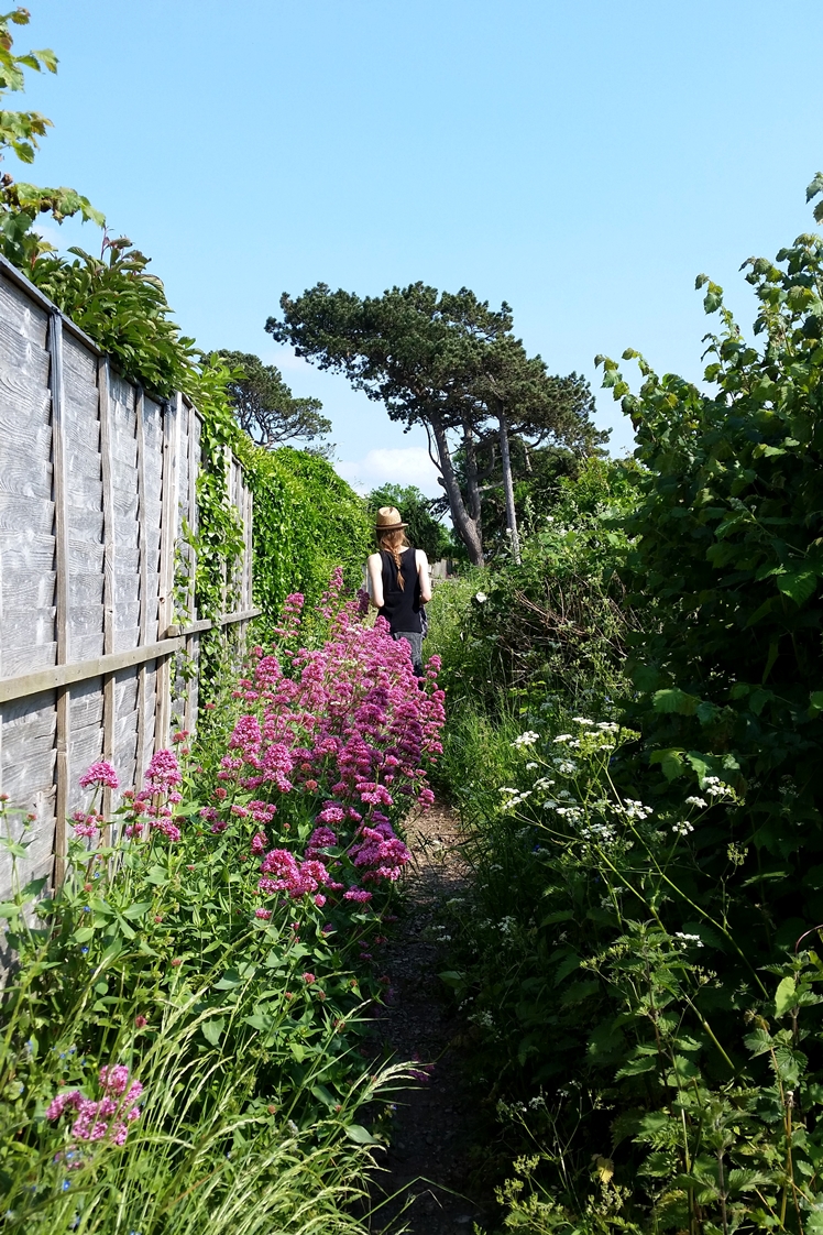 Outfit: Hello June | Midgins' Blog