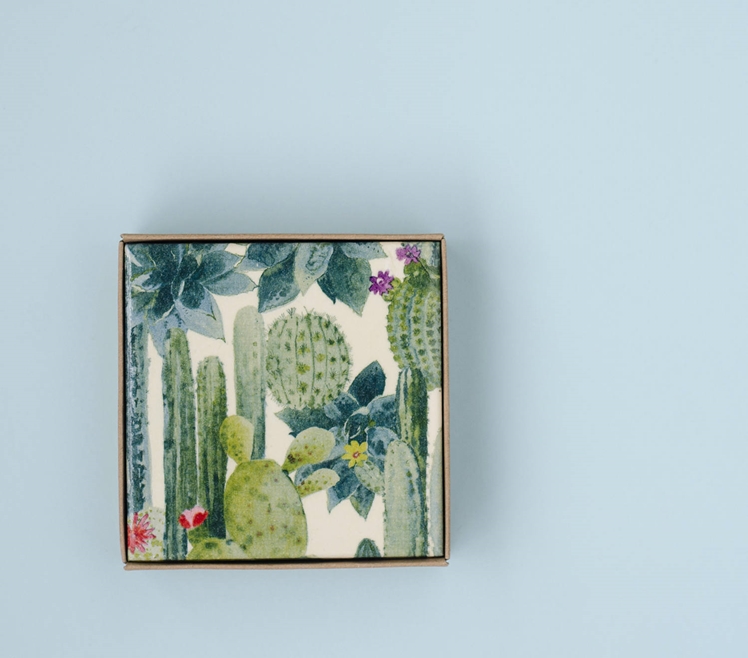 Succulent Cactus Garden Coasters | Tilissimo