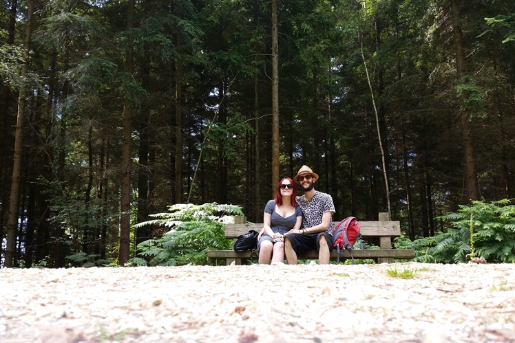 New Forest - Midgins' Blog