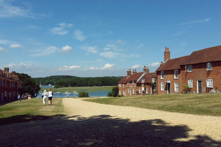 New Forest - Midgins' Blog