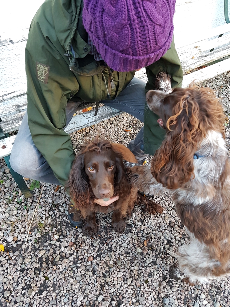 Cairngorm, Scotland | Midgins' Blog